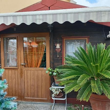 Nonna Lori'S Chalet Pisa Zona Stazione E Aeroporto Exterior foto